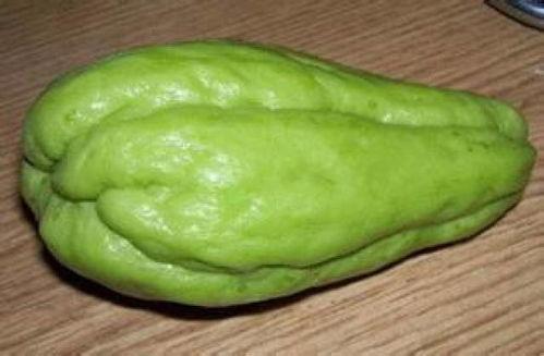 吃佛手瓜致癌,真相与误区解析