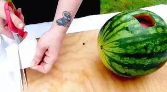 文安最新吃瓜原视频,揭秘幕后真相，带你领略网络风云