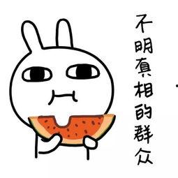 娱乐吃瓜酱专属梗,吃瓜酱带你领略幕后风云