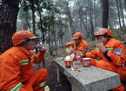 森林防火公园吃瓜,夏日避暑吃瓜，安全意识不放松