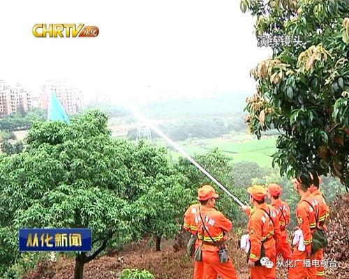 森林防火公园吃瓜,夏日避暑吃瓜，安全意识不放松