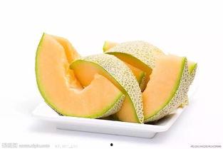 小雨吃哈密瓜全集,甜蜜回忆与成长篇章