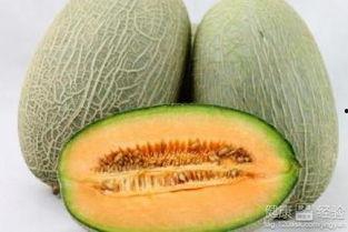 小雨吃哈密瓜全集,甜蜜回忆与成长篇章