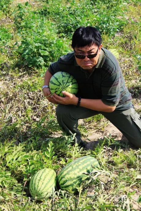 梦中偷瓜吃瓜什么预兆呢,揭秘梦境中的神秘预兆