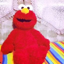 喵喵吃大瓜,吃瓜现场萌态百出