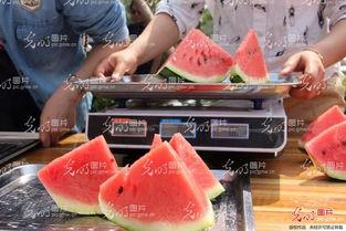 聊城市吃瓜,探寻这座城市的甜蜜生活