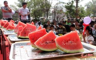 聊城市吃瓜,探寻这座城市的甜蜜生活