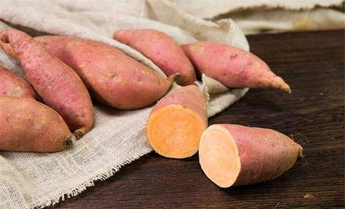 减肥吃红薯好还是吃瓜好,减肥饮食中的优劣势对比