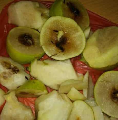 做月子可以吃角瓜吗,角瓜的营养与益处