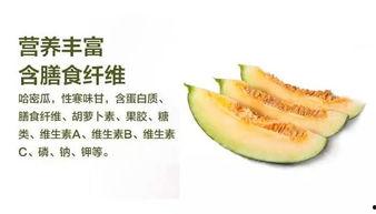 吃的什么瓜哈密的瓜不能吃,哪些品种不宜食用