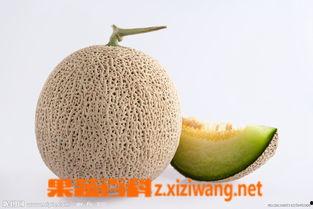 吃的什么瓜哈密的瓜不能吃,哪些品种不宜食用