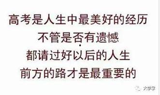 吃瓜追文,揭秘热门剧集背后的故事与幕后花絮