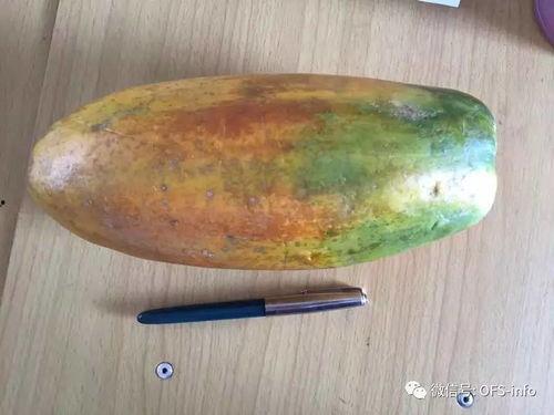 吃树瓜作用,神奇果实，养生保健的绿色瑰宝