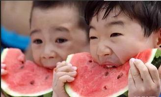 晚上7点吃瓜,揭秘7点吃瓜的奇妙体验