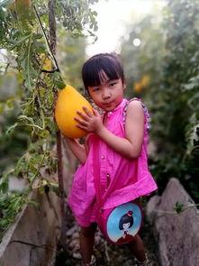 吃瓜娃子洪濑,吃瓜娃子洪濑的传奇故事