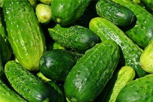 初梦吃瓜,揭秘娱乐圈那些不为人知的幕后故事