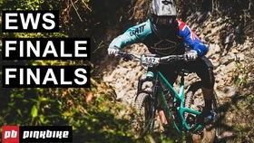 原声里的吃瓜,揭秘娱乐圈幕后故事