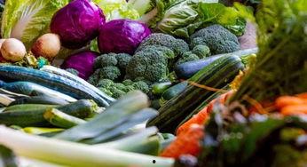 镇平疫情吃瓜视频,揭秘病毒传播背后的真相