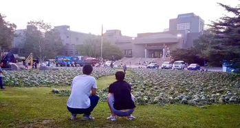 黄山学院吃瓜事件