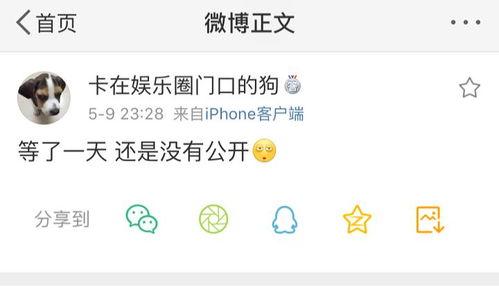 爆料吃瓜入口,独家爆料，吃瓜群众必看！