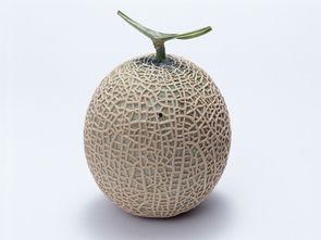 孕妇可以吃蜜瓜,营养美味两不误的孕期佳品