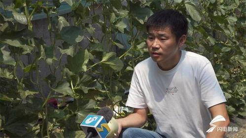 老吴天诺吃瓜,揭秘娱乐圈吃瓜背后的故事