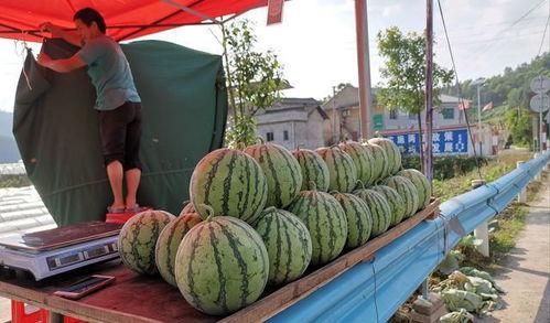 苏州农行吃瓜事件,一场意外的“瓜”界风波