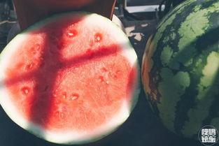 吃瓜mac大小,探索其大小背后的秘密与魅力