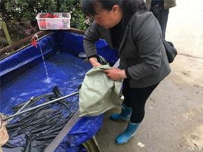 五岁吃瓜群众,揭秘童言无忌的欢乐世界